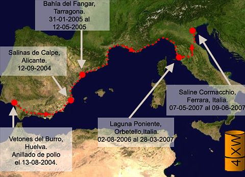 Cuadro de texto:    Imagen de satélite: NASA.  La línea de puntos indica la posible (no segura) ruta seguida por el ave.    